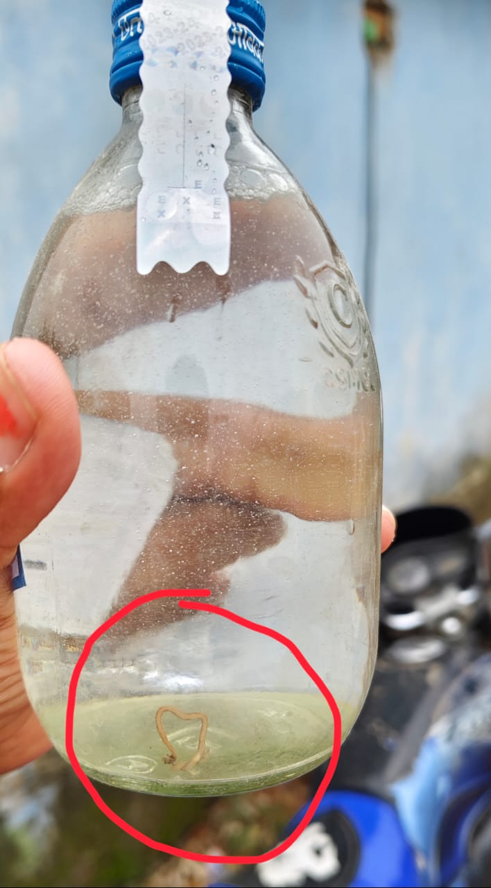 *पुसौर : मदिरापान करने वाले सावधान : देशी शराब की बोतल में केंचुआ देख ग्राहक हैरान…*