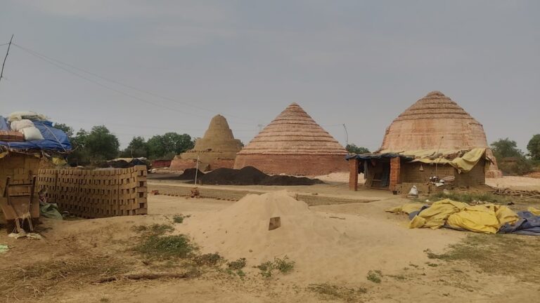 “आँखों में धूल झोंककर फल-फूल रहा अवैध ईट भट्टा, 2 लाख ईंटों का खेल और प्रशासन की चुप्पी”