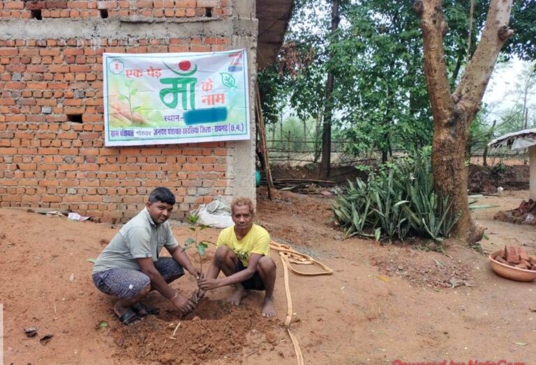 एक पेड़ माँ के नाम अभियान 2.0पीएम आवास की हितग्राही अपने आवास परिसर में कर रहे वृक्षारोपणजिले के पीएम आवास हितग्राहियों को दिया गया नि:शुल्क दो-दो पौधे