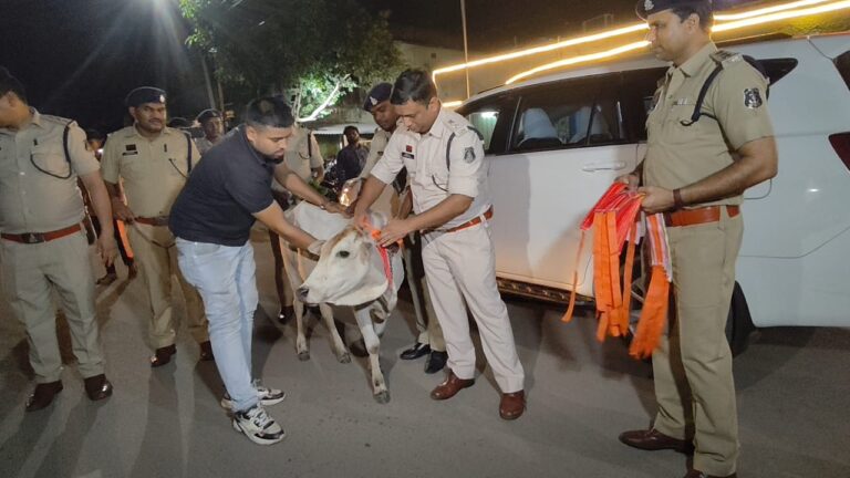 रायगढ़ पुलिस की विशेष पहल : मवेशियों की सुरक्षा के लिए रेडियम पट्टी पहनाने अभियान शुरू