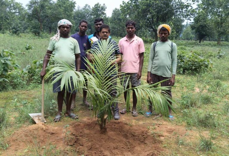 चक्रधरपुर के किसान ने 10 एकड़ में किया आयल पाम रोपण: आय का बनेगा स्थायी जरियाउद्यान विभाग की तकनीकी मदद से खेती को मिली नई दिशाकेन्द्र और राज्य सरकार से दो लाख तक का अनुदान, अंतरवर्तीय फसलों से होगी अतिरिक्त आमदनी