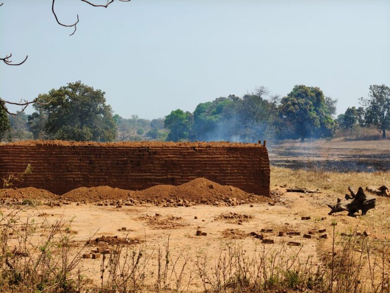 लैलूंगा में धधक रहा “लाल ईंट कांड” – जंगल कटे, भट्टे सजे, प्रशासन चुप!