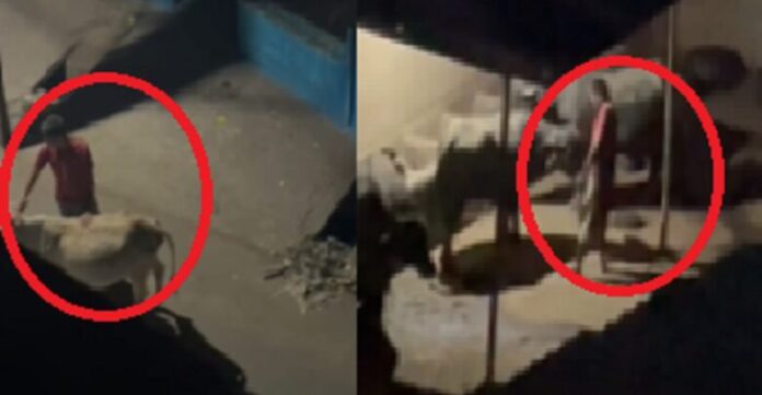 raipur-breaking-780x405